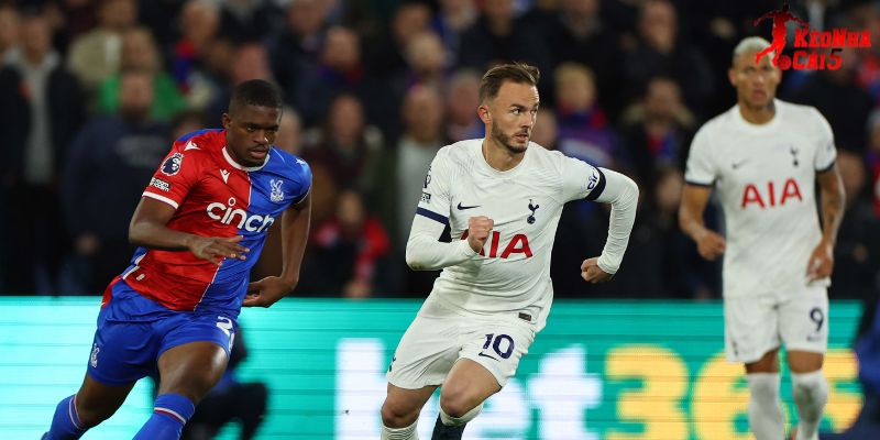 Tottenham vs Crystal Palace luôn mang lại nhiều cảm xúc